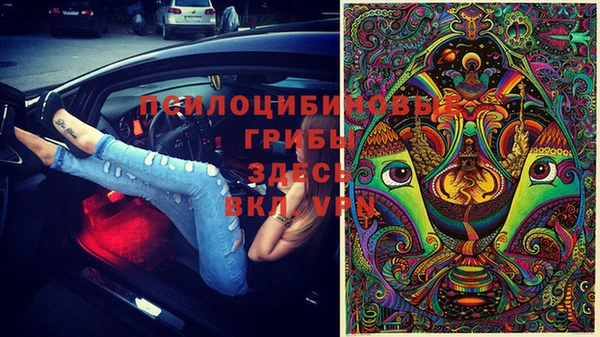 мескалин Абаза