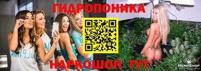 гидра Каменск-Шахтинский