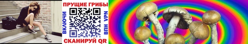 Псилоцибиновые грибы MAGIC MUSHROOMS  Кинешма 