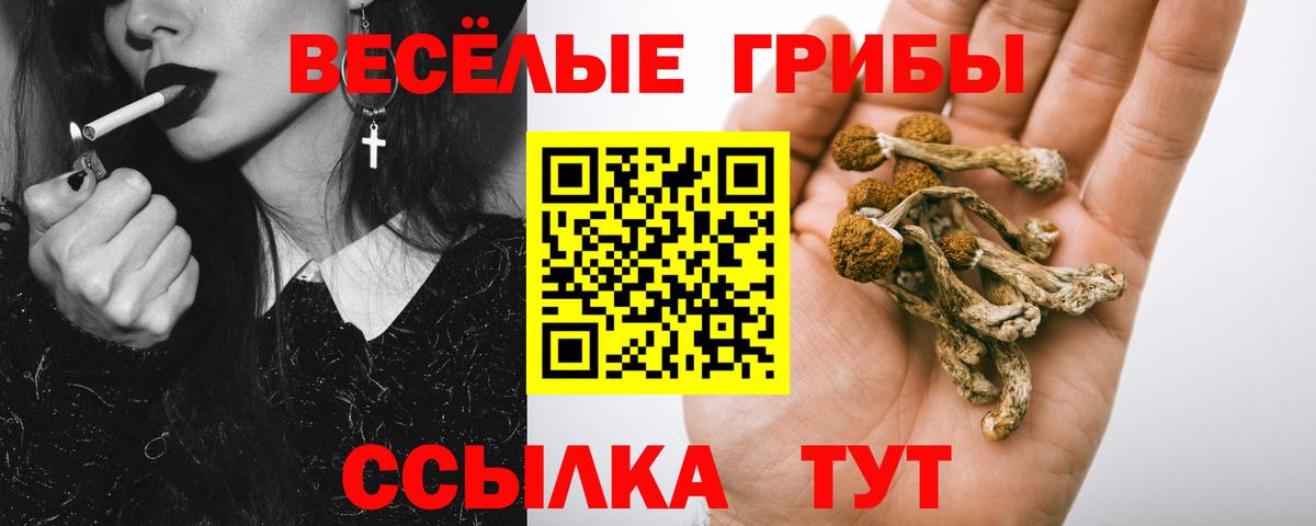 где найти наркотики  Галлюциногенные грибы Psilocybine cubensis  Вход с VPN  Кинешма 