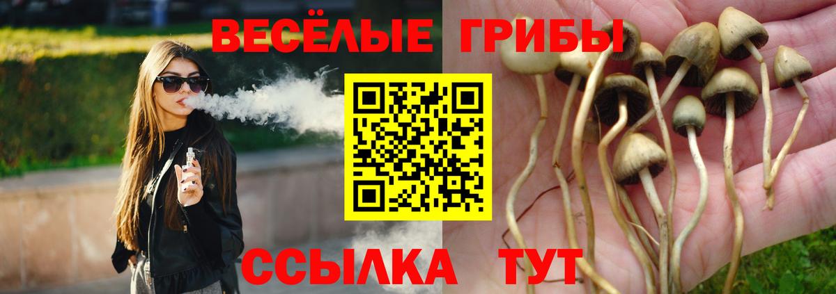 Псилоцибиновые грибы Cubensis Кинешма